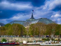 grand palais behind trees, france, paris