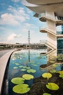 pond near the skyscraper