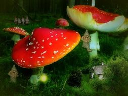 fly agaric amidst green grass