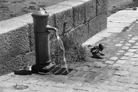 Urban fountain on street black and white recording