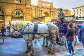horse with cart in the square