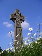 celtic cross, stone monument among daisies