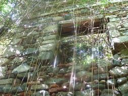ruins stone vines