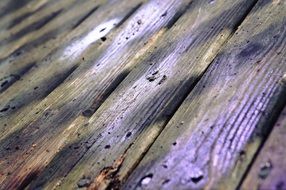 wooden floor close-up