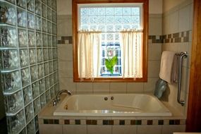 bathroom with windows