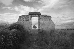 Door in Ruined walking field Tree view