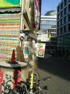 bicycles parked at pole in city, germany, hamburg