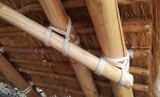 hawaii thatched roof