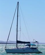 boat sailing in the sea