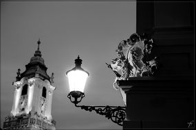 lamp on the street black and white