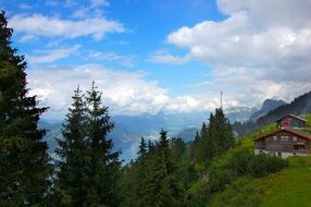 houses on a hill near lake lucerne