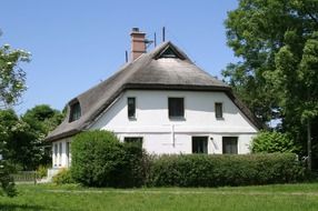 thatched roof home