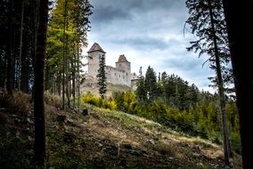 ruins of a medieval castle among trees in the Czech Republic