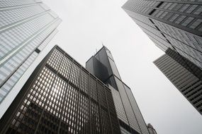 High urban skyscrapers in the city in the downtown