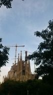 landscape of church behind green trees in spain