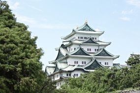 building with white walls behind green trees in japan