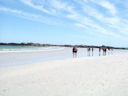 cape town white beach