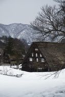 house in japanese style in winter