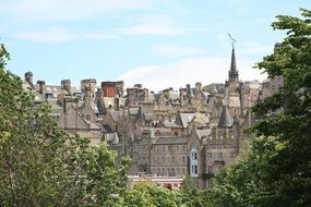 Edinburgh city view behind green trees