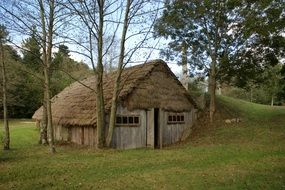 old house near the trees