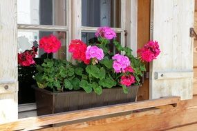flower box