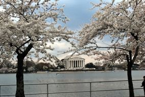 winter jefferson memorial