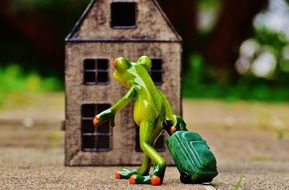 A toy a green frog with a suitcase comes into the house