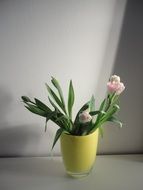home flowers