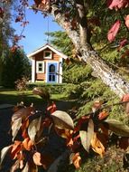 colorful house form bird feeder on tree at fall