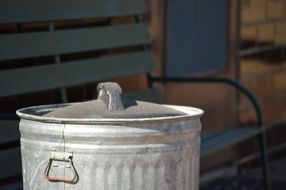 garbage metal can in front of bench