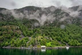 distant view of the green slope on the shore