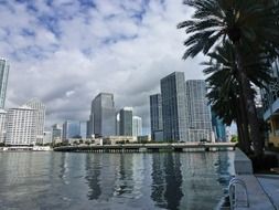 skyscrapers near the river in miami