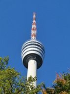 tv tower behind green trees