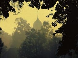 silhouette of a tower with a spire behind the trees