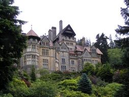 gothic mansion among garden