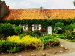 country house among plants in the netherlands