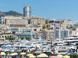 cityscape of Monaco