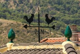 metal figure with roosters on the roof of the building