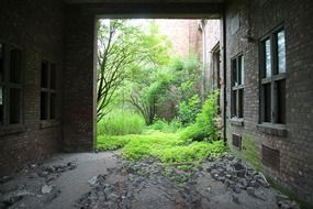 abandoned old building in summer