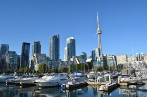 panoramic view of the harbor in toronto