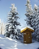 wooden toilet near fir trees in winter