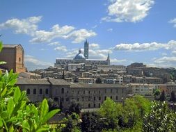 cityscape in siena