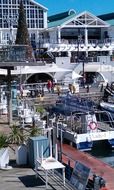 panoramic view of the harbor in cape town