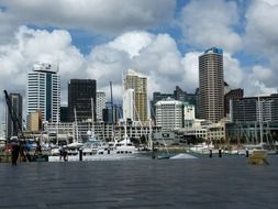 distant view of skyscrapers in auckland