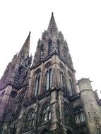 gothic cathedral on a white background