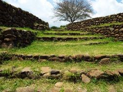 landscape ruins in the green grass