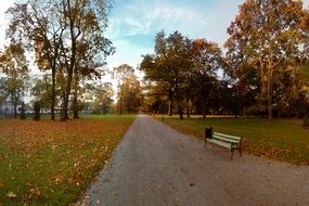 panorama autumn park