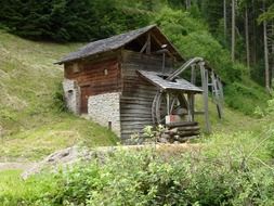 wooden house on a hill in the forest