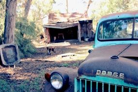 blue Dodge truck in Arizona