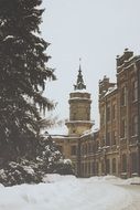 trees near the castle in winter